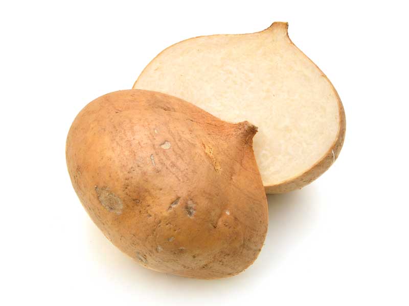 Yam Bean Yicama Vegetable Seeds