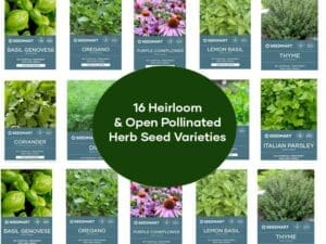 16 Herb Seed Kit