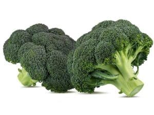 Broccoli Marathon Variety | Seedmart Australia