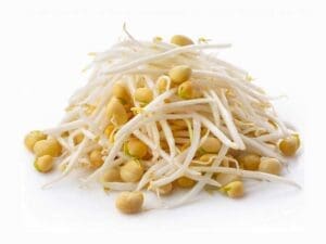 Soy Bean Sprouting Seeds | Non-GMO | Australian Grown