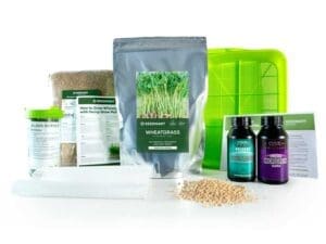 Wheatgrass Grow Kit | Seedmart Australia
