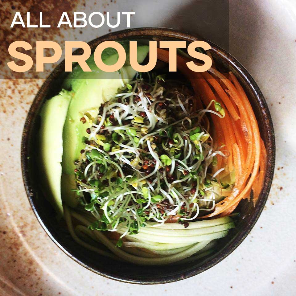 All About Sprouts | Seedmart Australia Blog Post