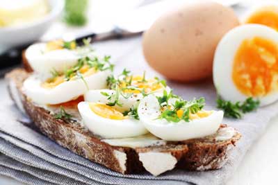 Cress Sandwiches | Seedmart Australia