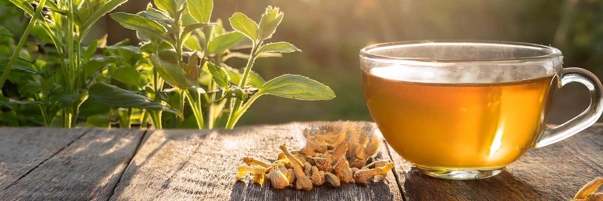 Fenugreek Header Blog | Seedmart Australia