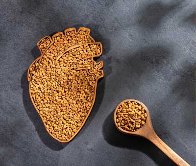 fenugreek-seeds-heart-medicine-seedmart-australia