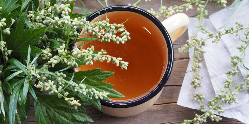 Mugwort Header | Blog Post | Seedmart Australia