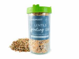Sprouting Jar with Lentil Seeds | Seedmart Australia