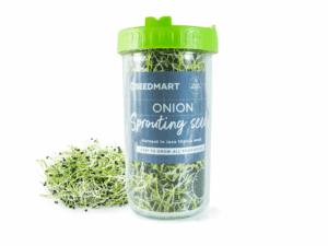 Sprouting Kit with Onion Sprouting Seeds | seedmart australia