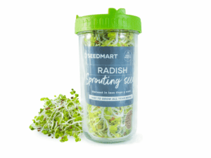 Sprouting Kit with Radish Seeds | Seedmart Australia