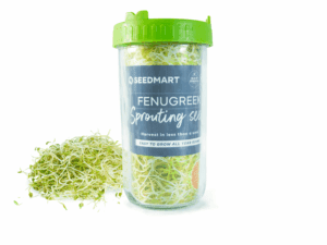 Sprouting Kit with Fenugreek Seeds | Seedmart Australia
