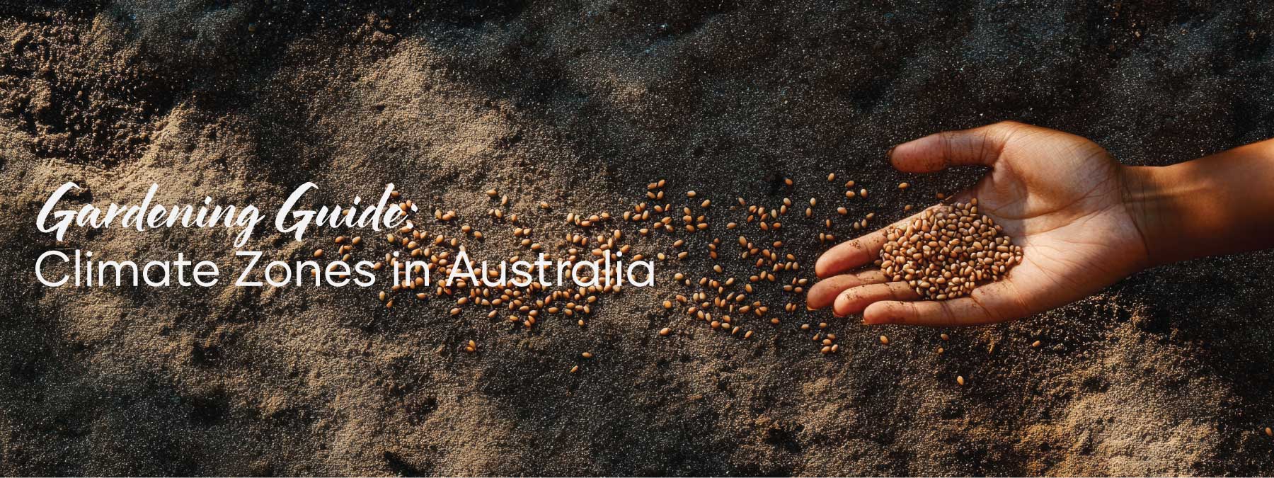 Gardening Guide: Climate Zones in Australia | Blog Banner | Seedmart Australia