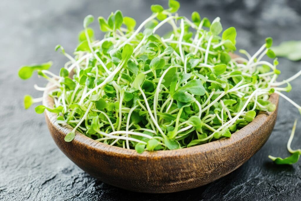 Broccoli Microgreens Photo | Seedmart