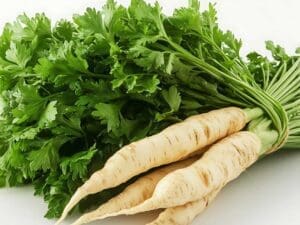 Parsnip Parsley Turnip Seeds | Seedmart Australia