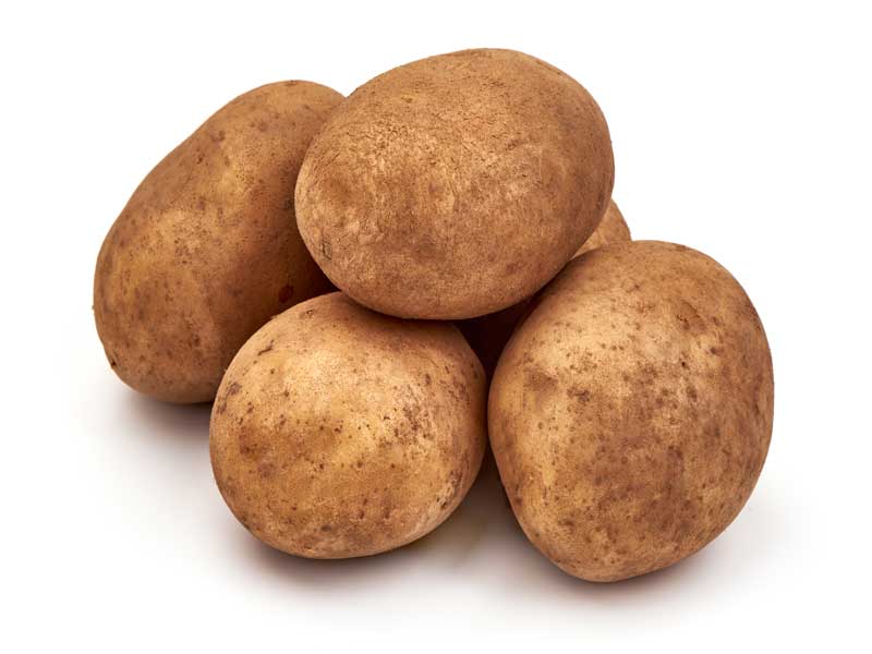potato-sebago-seeds-seedmart