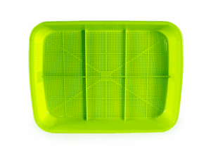Microgreen Growing Tray with Drainage Holes | Seedmart Australia