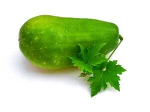 Hairy Gourd Vegetable Seeds