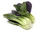 Red Bok Choy Vegetable Seeds | Seedmart Australia