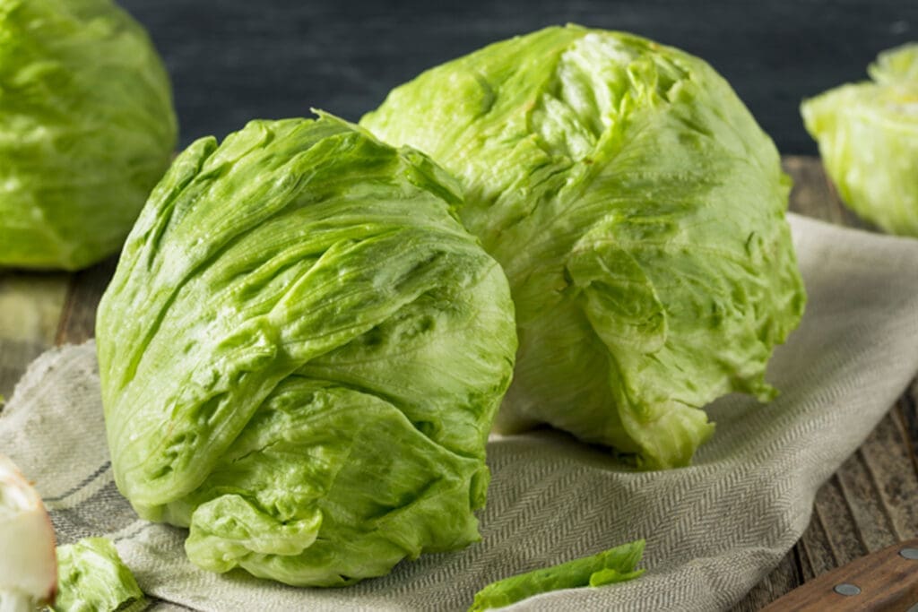 iceberg-lettuce-seedmart-australia-