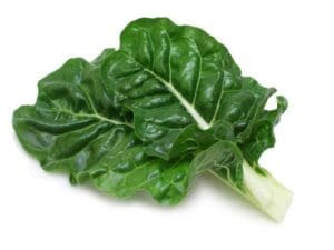 Silverbeet Chard Barese Vegetable Seeds | Heirloom | Seedmart