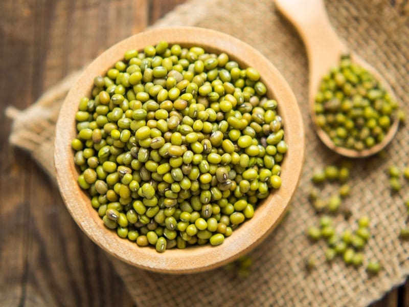 Mung Beans Sprouting | Seedmart Australia