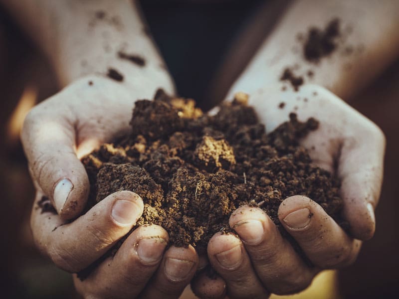 Soil Types | Seedmart Australia