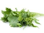 broccoli-raab-rapini-seeds-seedmart-australia