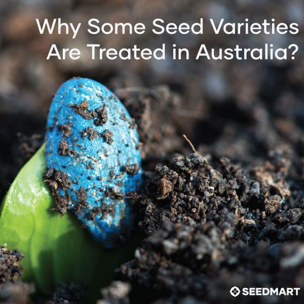 Why Some Seed Varieties are Treated in Australia?