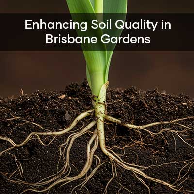 enhancing-soil-quality-in-brisbane-gardens-seedmart-australia