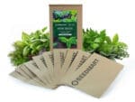 Herb Seed Kit | Seedmart Australia