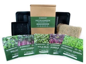 Microgreen Growing Starter Kit