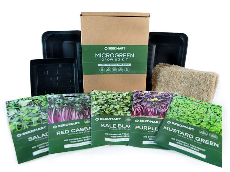 Microgreen Growing Starter Kit