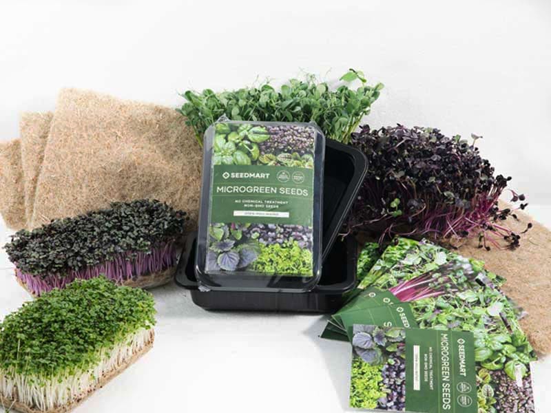 Microgreen Growing Starter Kit - Image 3