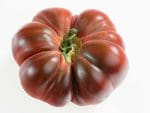 Tomato Paul Robeson Vegetable Seeds | Seedmart Australia
