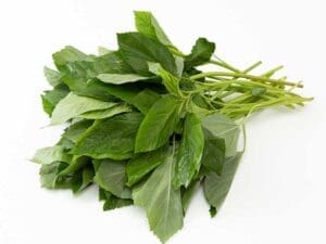 egyptian-spinach-seedmart-australia