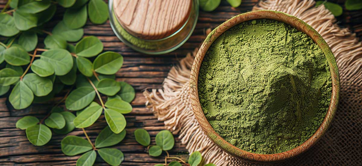 moringa-plant-herb-banner-seedmart